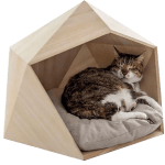 cat-house